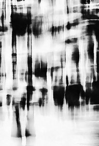 Poem About Residents by Alex Caminker