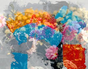 Rainbow by Alex Caminker