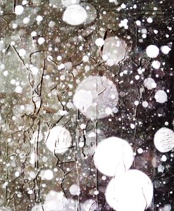 Snow by Alex Caminker