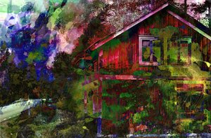 camouflage, 2019