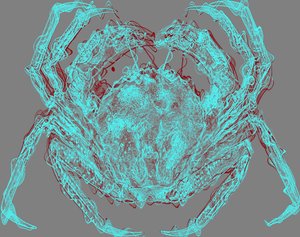 Crab by Alex Caminker