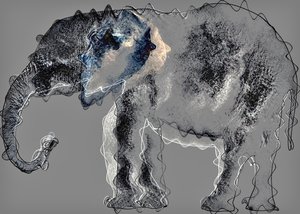 Elephant, 2020
