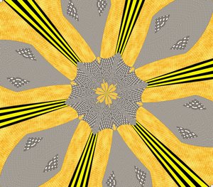 Flowers #72