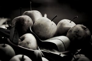 Harvest by Alex Caminker