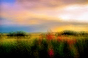 Palette