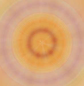 Plates, 2019 by Alex Caminker