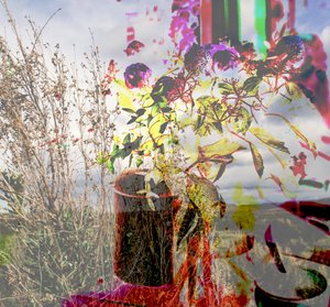 Still life, 2019