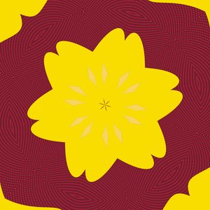 Symmetry #50 by Alex Caminker