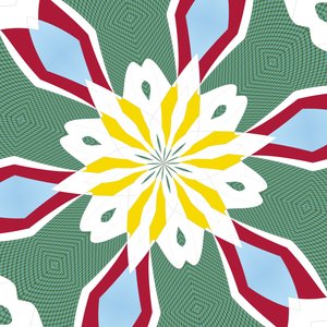 Water lily by Alex Caminker