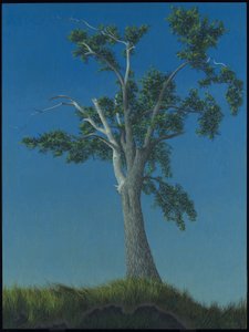 Elm Tree at Horton Landing by Alex Colville