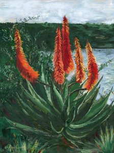 Vibrant Aloe Lake