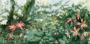 Vibrant Tropical Orchids