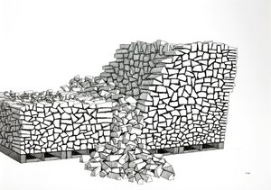 Firewood Pallets (Collapse)