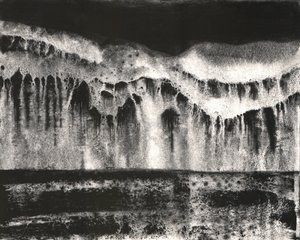 Dark Nature Abstraction by Alex Walsh