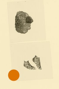 Stick Figure by Alexander Adiels