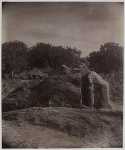 Sculptured elephant on top of rock with Asoka inscriptions, Dhauli, Puri District by Alexander Caddy