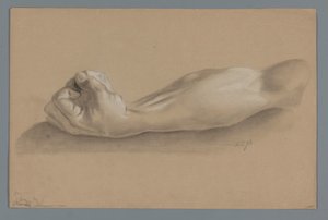 Plaster Model of an Arm with a Clenched Fist