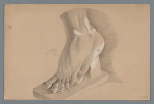 Plaster Model of a Foot