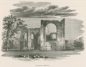 Furness Abbey, Looking North by Alexander Francis Lydon