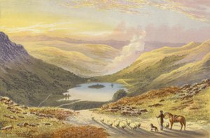 Rydal Water, from Loughrigg Terrace