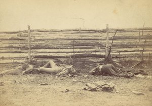 View in the Field, On the West Side of the Hagerstown Road, After the Battle of Antietam, 1862