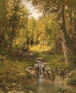 Pool in the Woods