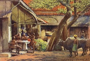 The Market, Colombo