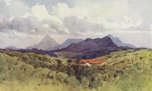 The Martale Hills