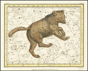 1822 - Ursa Major by Alexander Jamieson