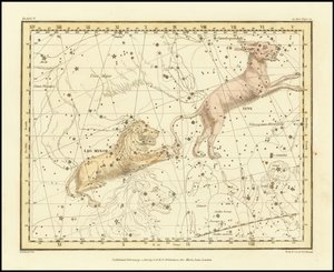 1822 - Lynx & Leo Minor by Alexander Jamieson