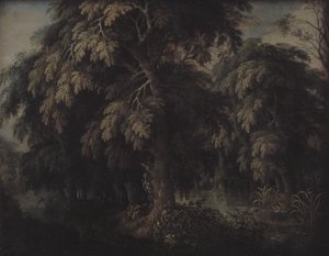 Wooded Landscape
