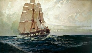 The Austrian Frigate Novara at Sea by Alexander Kirchner