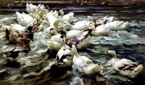 Ducks Gathering by Alexander Koester