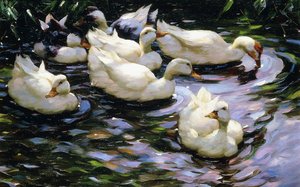Ducks Swimming in a Sunlit Lake by Alexander Koester