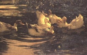 Ducks on a Pond