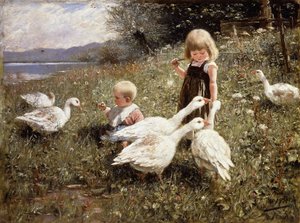 Feeding Geese
