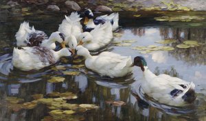 The Duck Pond by Alexander Koester