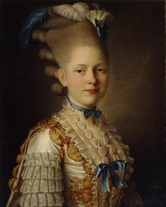 Portrait of Countess Kh. Obolenskaya by Alexander Roslin