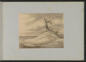 Tree on a Hill