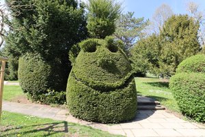 The Laughing Tree