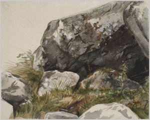 Rocky Landscape