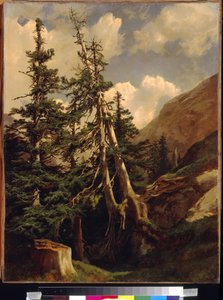 Firs in the Mountains