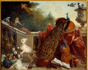 Animals, Flowers and Fruits