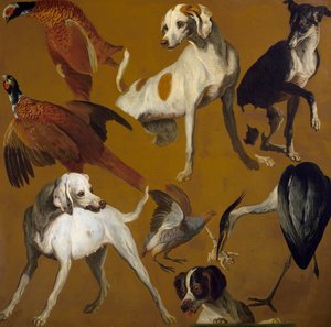 Study of birds and dogs