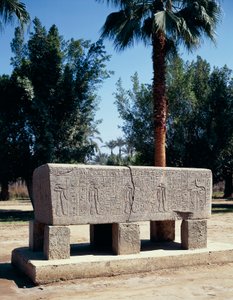 Egypt, Cairo, Ancient Memphis, Engraved sarcophagus by Nicolas Toussaint Charlet
