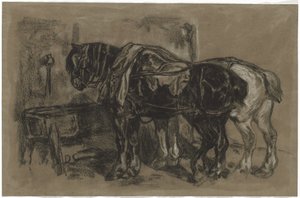 Two Draft Horses