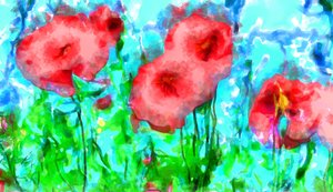 Poppies and Clouds, 2020