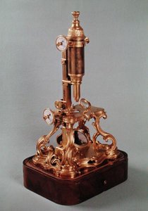 Microscope Belonging to Louis Auguste d
