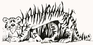 Fact-Finder: Why Are Tigers Striped? by Alf Saporito