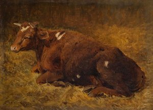 A Cow Lying on the Ground